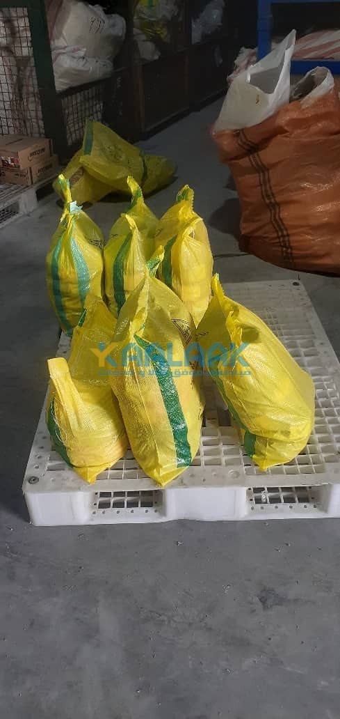 سیم  افشان 1 و سیم افشان 4 خراسان افشارنژاد