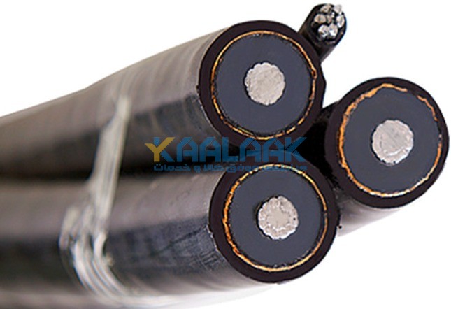 Self-Supporting cable
